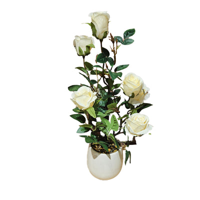 Tara Lane Artifical Floral & Plant Collection - Potted White Rose Plant