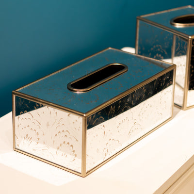 Tara Lane Tissue Box Collection - Lyra Champagne Square/Rectangular