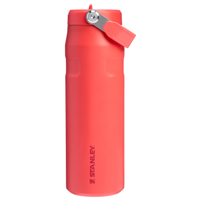 Stanley Collection - Ice Bottle Flip Straw Collection