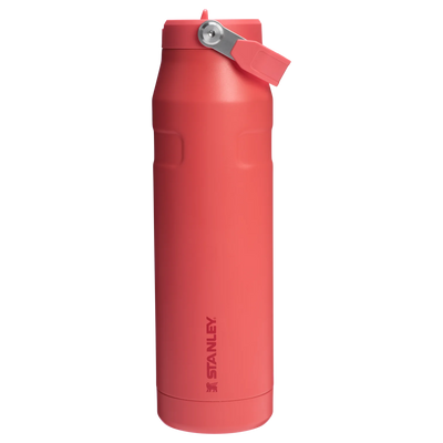 Stanley Collection - Ice Bottle Flip Straw Collection