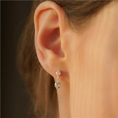 Newbridge Silverware Earrings - Drop with Clear Stone