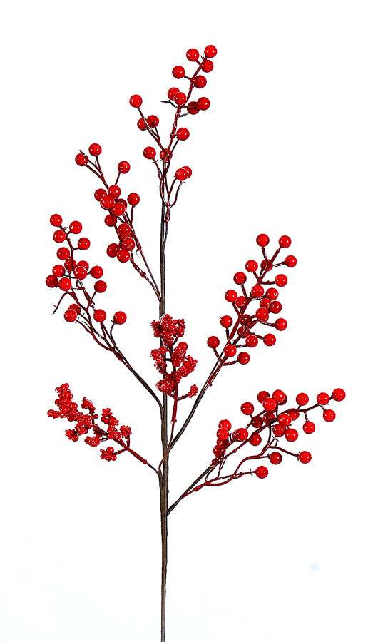 Christmas Branch with Snowy Red Berries