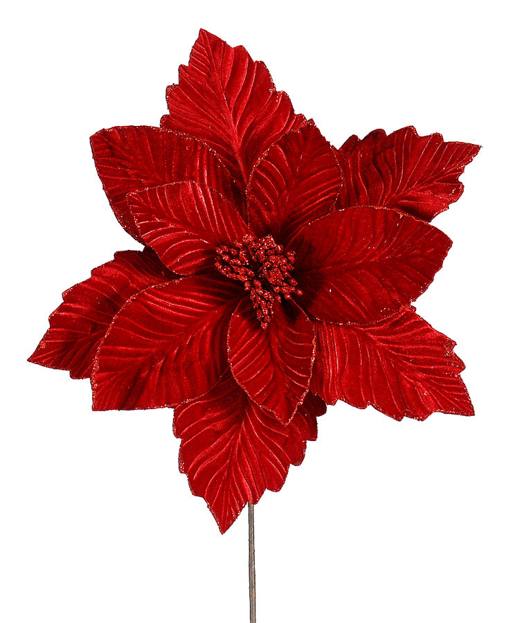 Red Velvet Christmas Poinsettia