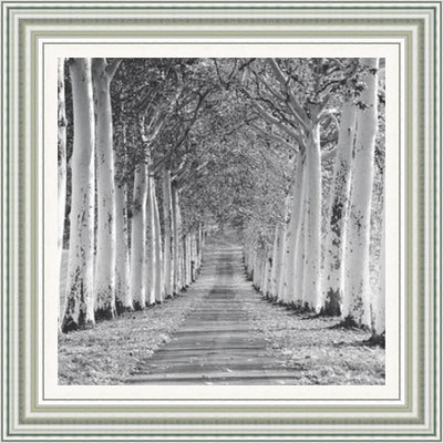 Avenue of Trees Framed Picture - Art On Glass **CLICK & COLLECT ONLY**
