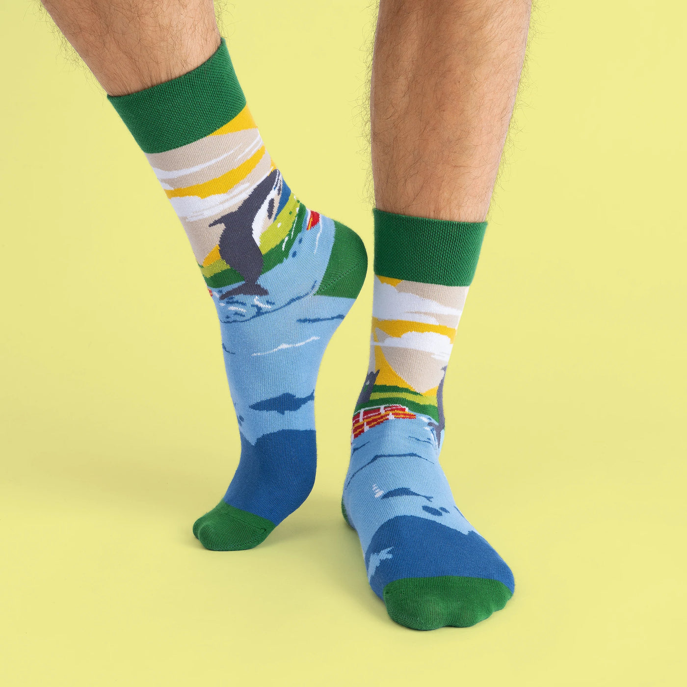 Sock Coop Socks - Dingle