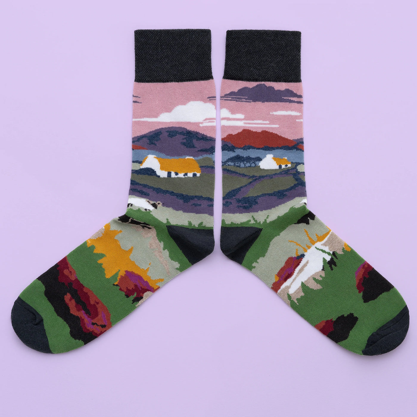Sock Coop Socks - Thatched Cottage