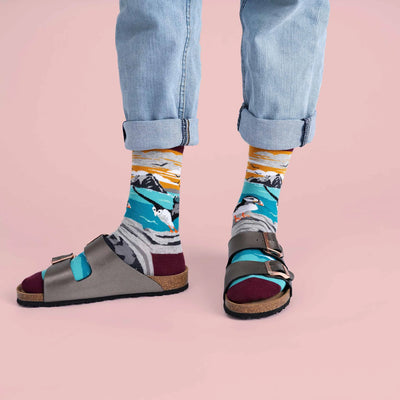 Sock Coop Socks - Skellig