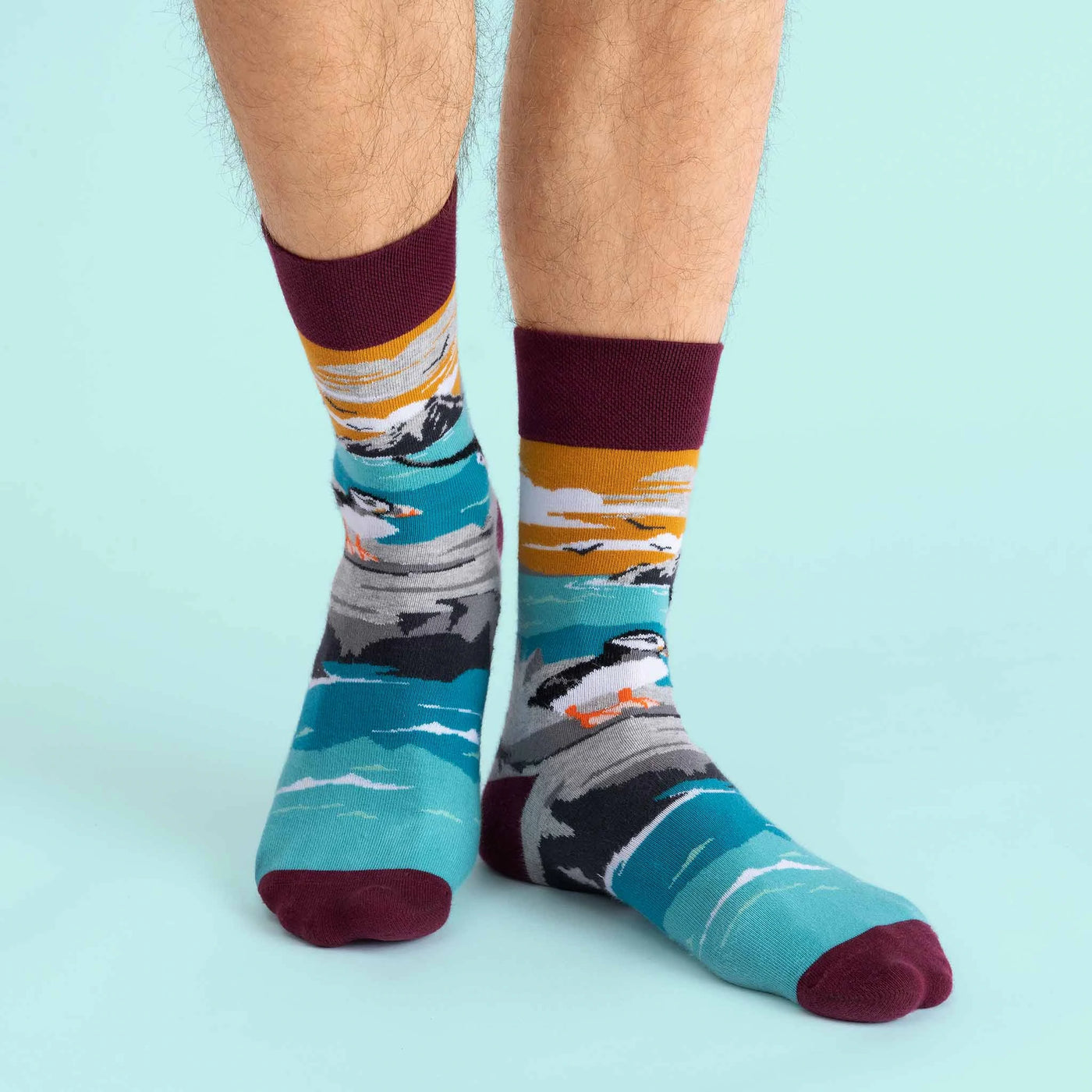 Sock Coop Socks - Skellig