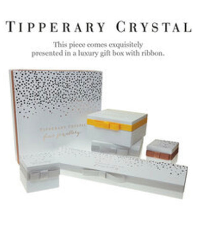 Tipperary Crystal Earrings - Classics Collection - Round Pave Surround - Silver Plated