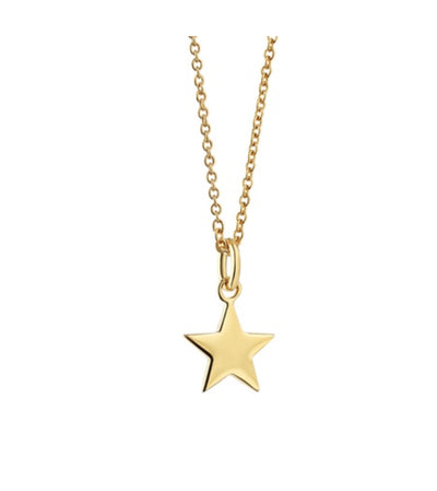 Newbridge Silverware Pendant with Star Charm  by Amy Hubberman - Gold Plated