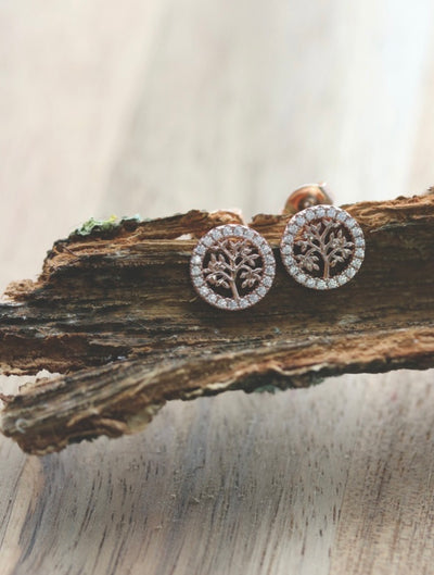 Tipperary Crystal Earrings - Tree of Life Collection - Circle Stud with CZ