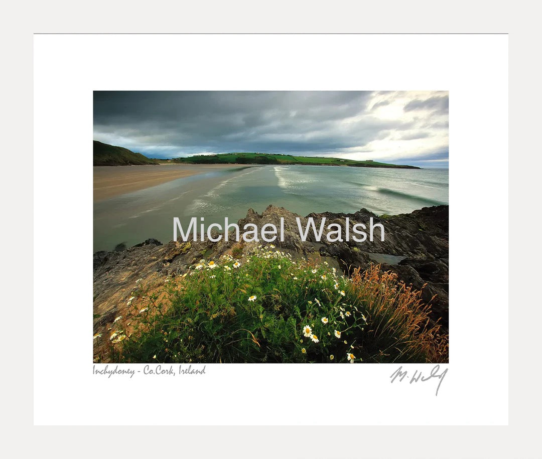INCHYDONEY - Michael Walsh Framed Print C-113